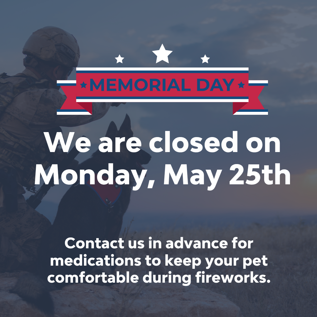 Memorial Day Closure graphics